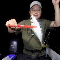 フィッシングボート空風(そらかぜ) 釣果