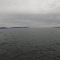 フィッシングボート空風(そらかぜ) 釣果