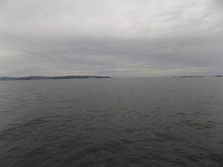 フィッシングボート空風（そらかぜ） 釣果