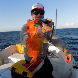 フィッシングボート空風(そらかぜ) 釣果