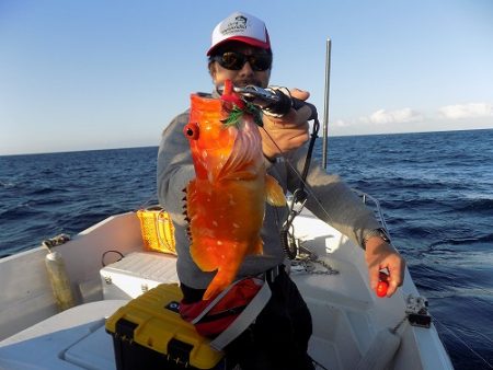 フィッシングボート空風(そらかぜ) 釣果