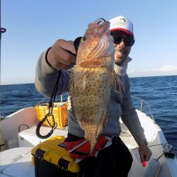 フィッシングボート空風(そらかぜ) 釣果