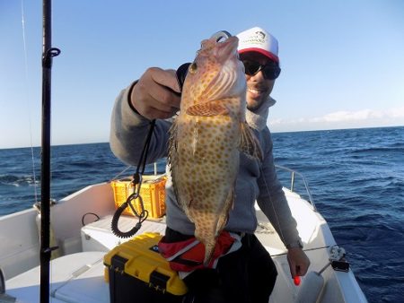 フィッシングボート空風(そらかぜ) 釣果