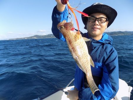 フィッシングボート空風(そらかぜ) 釣果