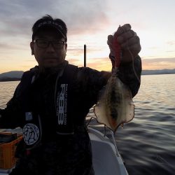 フィッシングボート空風(そらかぜ) 釣果