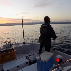 フィッシングボート空風(そらかぜ) 釣果