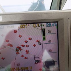 フィッシングボート空風(そらかぜ) 釣果