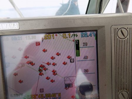 フィッシングボート空風(そらかぜ) 釣果