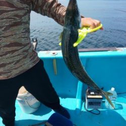 フィッシング太陽 釣果