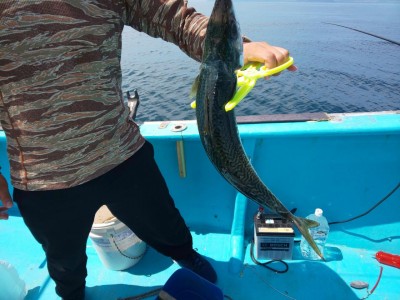 フィッシング太陽 釣果