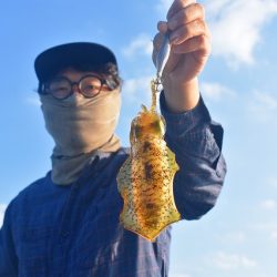 Fisherman Dreams DI 釣果