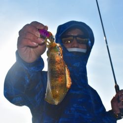 Fisherman Dreams DI 釣果