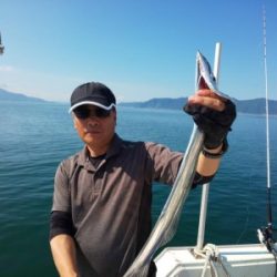 フィッシング太陽 釣果