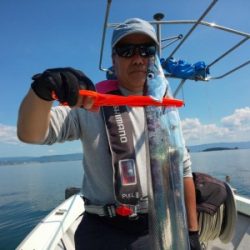 フィッシング太陽 釣果