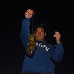 Fisherman Dreams DI 釣果