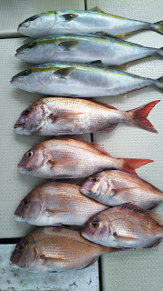 釣り舟　海竜 釣果