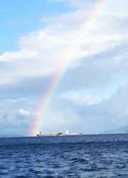 釣り舟　海竜 釣果