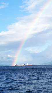釣り舟　海竜 釣果