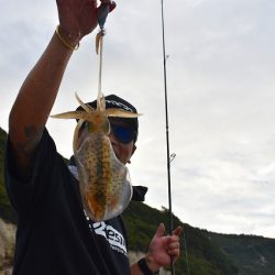 Fisherman Dreams DI 釣果