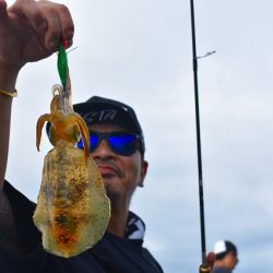 Fisherman Dreams DI 釣果