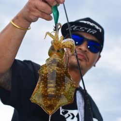 Fisherman Dreams DI 釣果