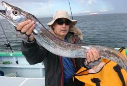 KONAYAーMARU(こなや丸) 釣果