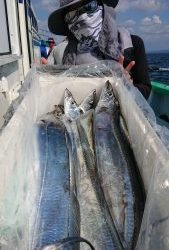 KONAYAーMARU(こなや丸) 釣果