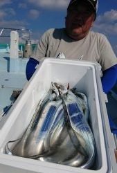 KONAYAーMARU(こなや丸) 釣果