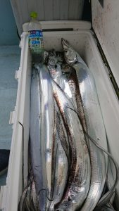 ＫＯＮＡＹＡｰＭＡＲＵ（こなや丸） 釣果