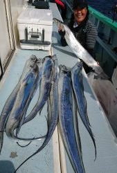 KONAYAーMARU(こなや丸) 釣果