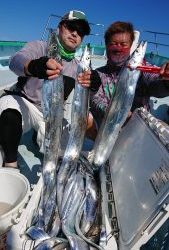 KONAYAーMARU(こなや丸) 釣果