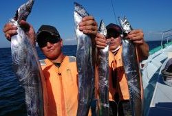 KONAYAーMARU(こなや丸) 釣果