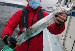 KONAYAーMARU(こなや丸) 釣果