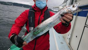 KONAYAーMARU(こなや丸) 釣果