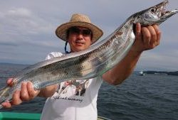 ＫＯＮＡＹＡｰＭＡＲＵ（こなや丸） 釣果