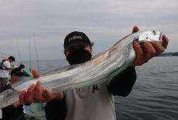 KONAYAーMARU(こなや丸) 釣果