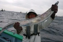 KONAYAーMARU(こなや丸) 釣果