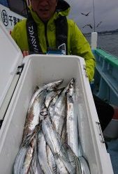 KONAYAーMARU(こなや丸) 釣果