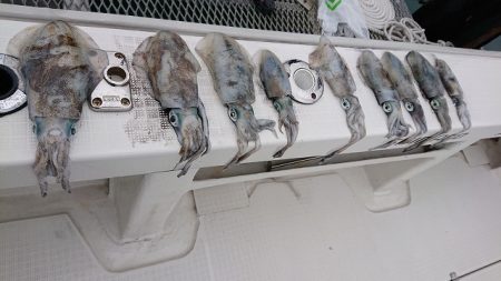 フィッシングボートACE(エース) 釣果