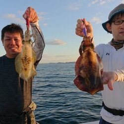 フィッシングボートACE(エース) 釣果