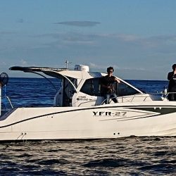 フィッシングボートACE(エース) 釣果