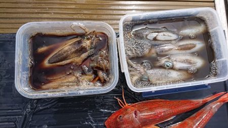 フィッシングボートACE(エース) 釣果