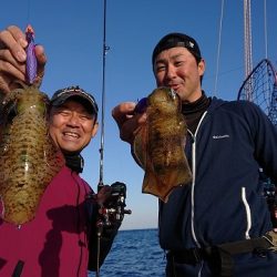 フィッシングボートACE（エース） 釣果