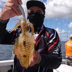 フィッシングボートACE(エース) 釣果