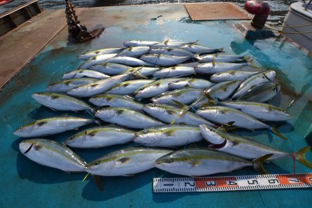 アジアマリンサービス 釣果