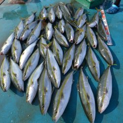 アジアマリンサービス 釣果