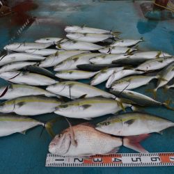 アジアマリンサービス 釣果