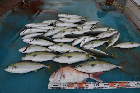 アジアマリンサービス 釣果