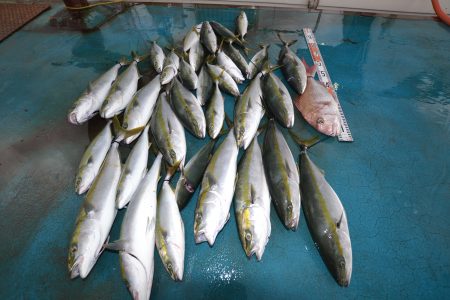 アジアマリンサービス 釣果