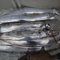 アジアマリンサービス 釣果